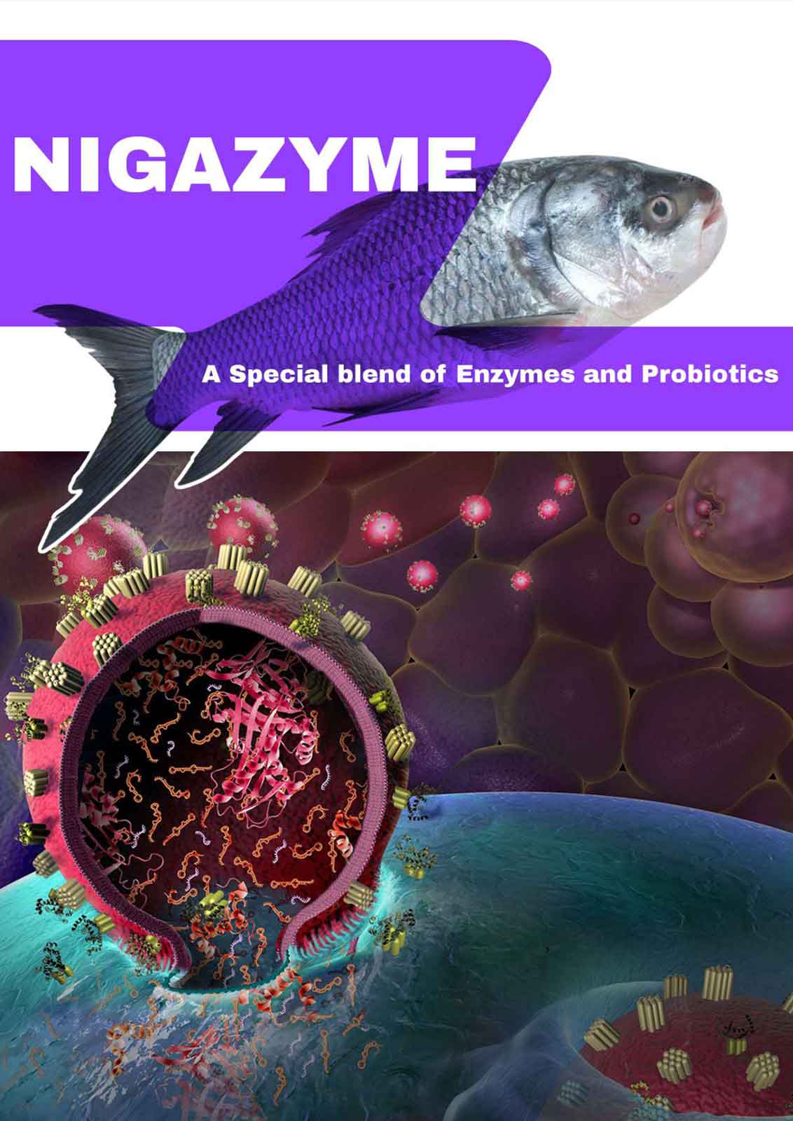 NIGAZYME