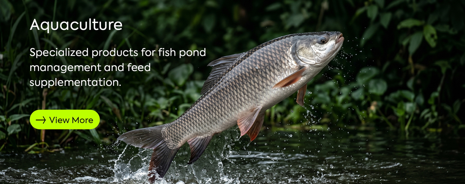 Aquaculture.jpg 1